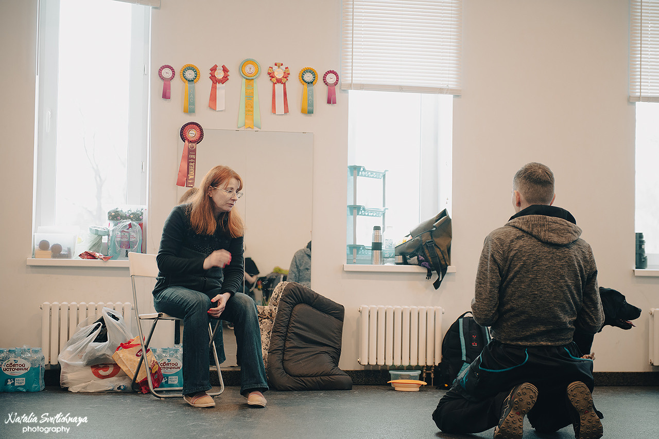 Семинар с Марией Рыбкиной «Игры с собаками» (24.02.2023). Фотограф-анималист Наталья Светличная