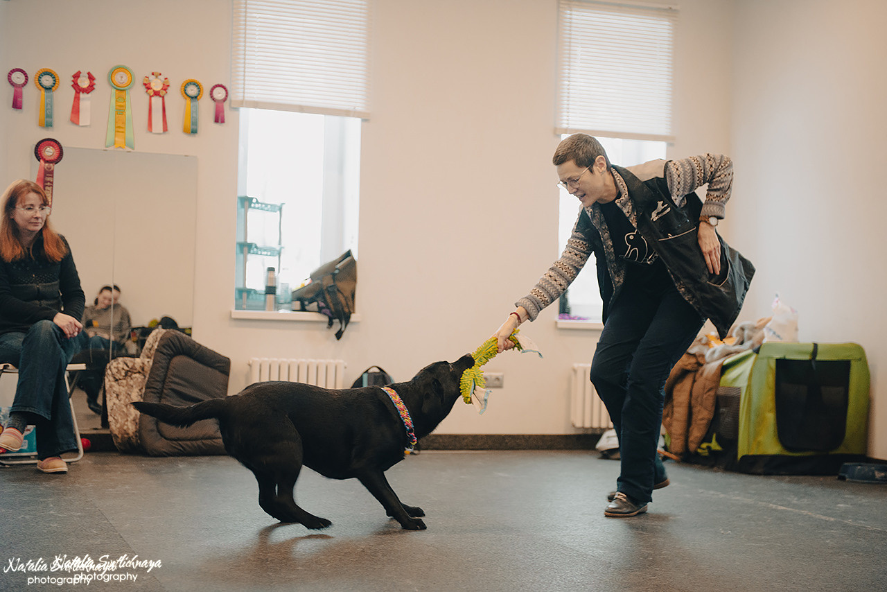 Семинар с Марией Рыбкиной «Игры с собаками» (24.02.2023). Фотограф-анималист Наталья Светличная