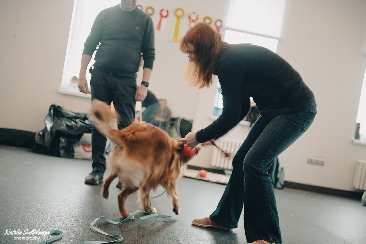 Семинар с Марией Рыбкиной «Игры с собаками» (24.02.2023). Фотограф-анималист Наталья Светличная