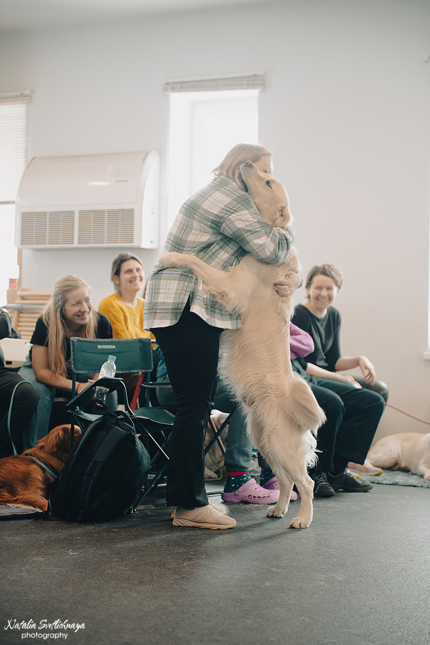 Семинар с Марией Рыбкиной «Игры с собаками» (24.02.2023). Фотограф-анималист Наталья Светличная