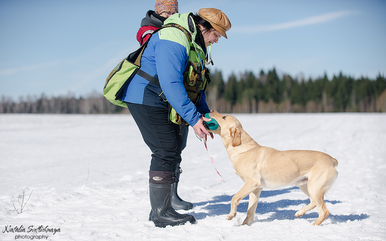 Тренировочный воркинг тест Школы Шмеля 18 марта 2023. Фотограф-анималист Наталья Светличная
