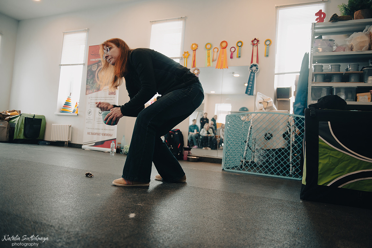 Семинар с Марией Рыбкиной «Игры с собаками» (24.02.2023). Фотограф-анималист Наталья Светличная