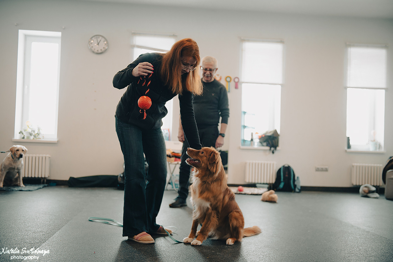 Семинар с Марией Рыбкиной «Игры с собаками» (24.02.2023). Фотограф-анималист Наталья Светличная