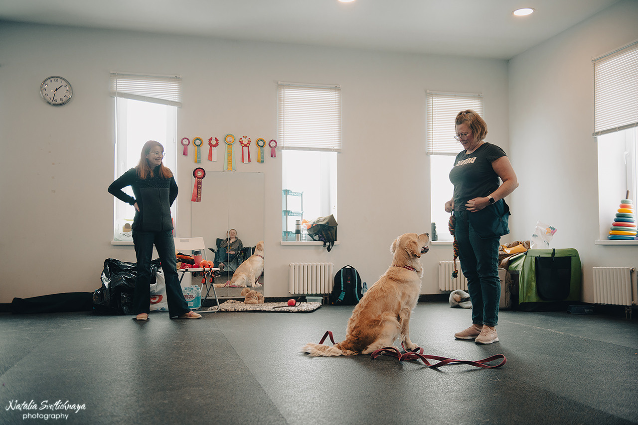 Семинар с Марией Рыбкиной «Игры с собаками» (24.02.2023). Фотограф-анималист Наталья Светличная