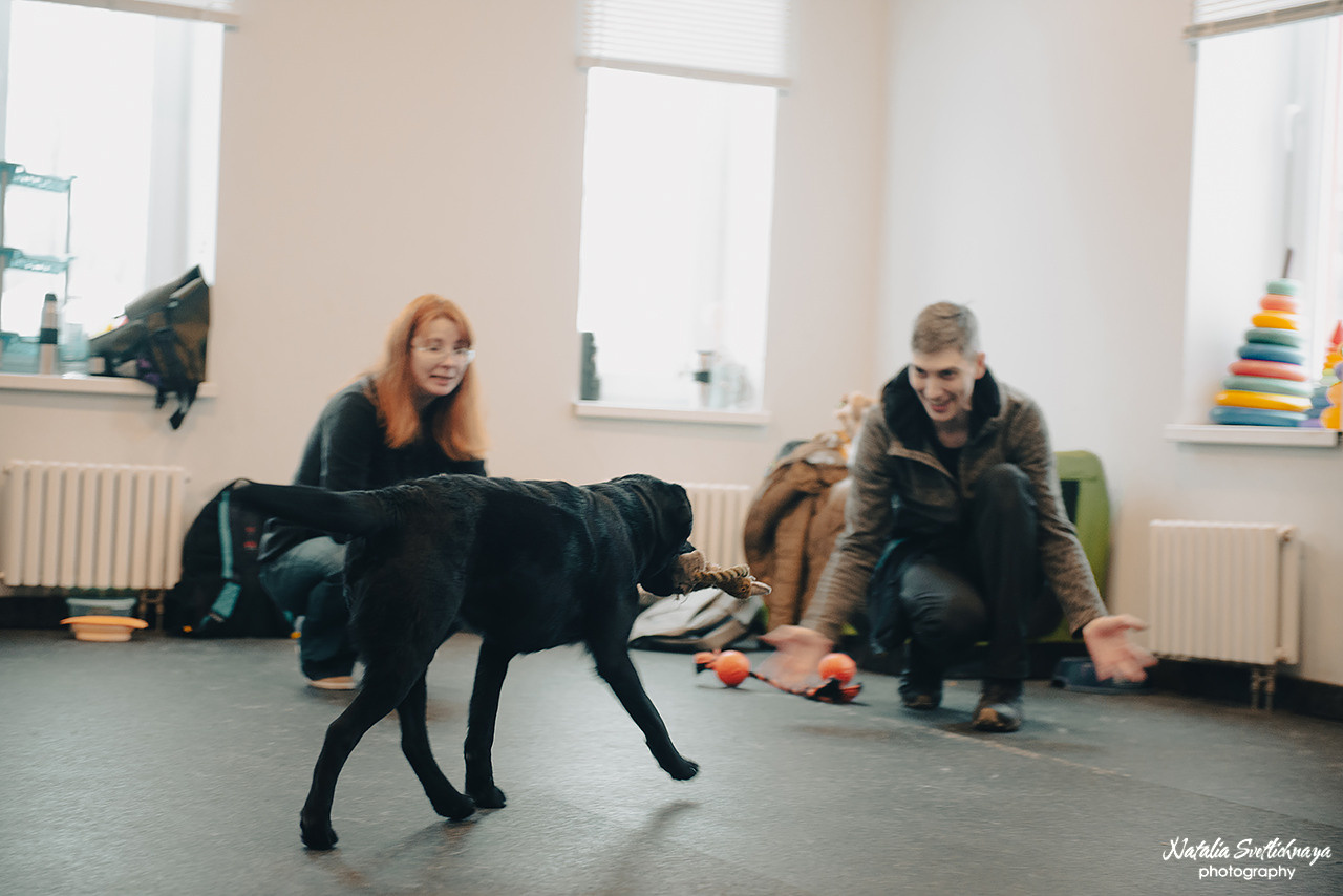 Семинар с Марией Рыбкиной «Игры с собаками» (24.02.2023). Фотограф-анималист Наталья Светличная
