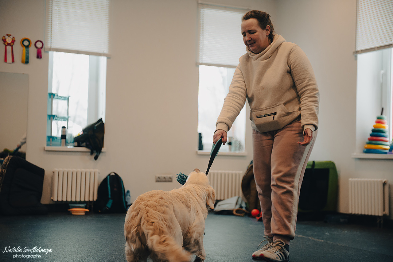 Семинар с Марией Рыбкиной «Игры с собаками» (24.02.2023). Фотограф-анималист Наталья Светличная