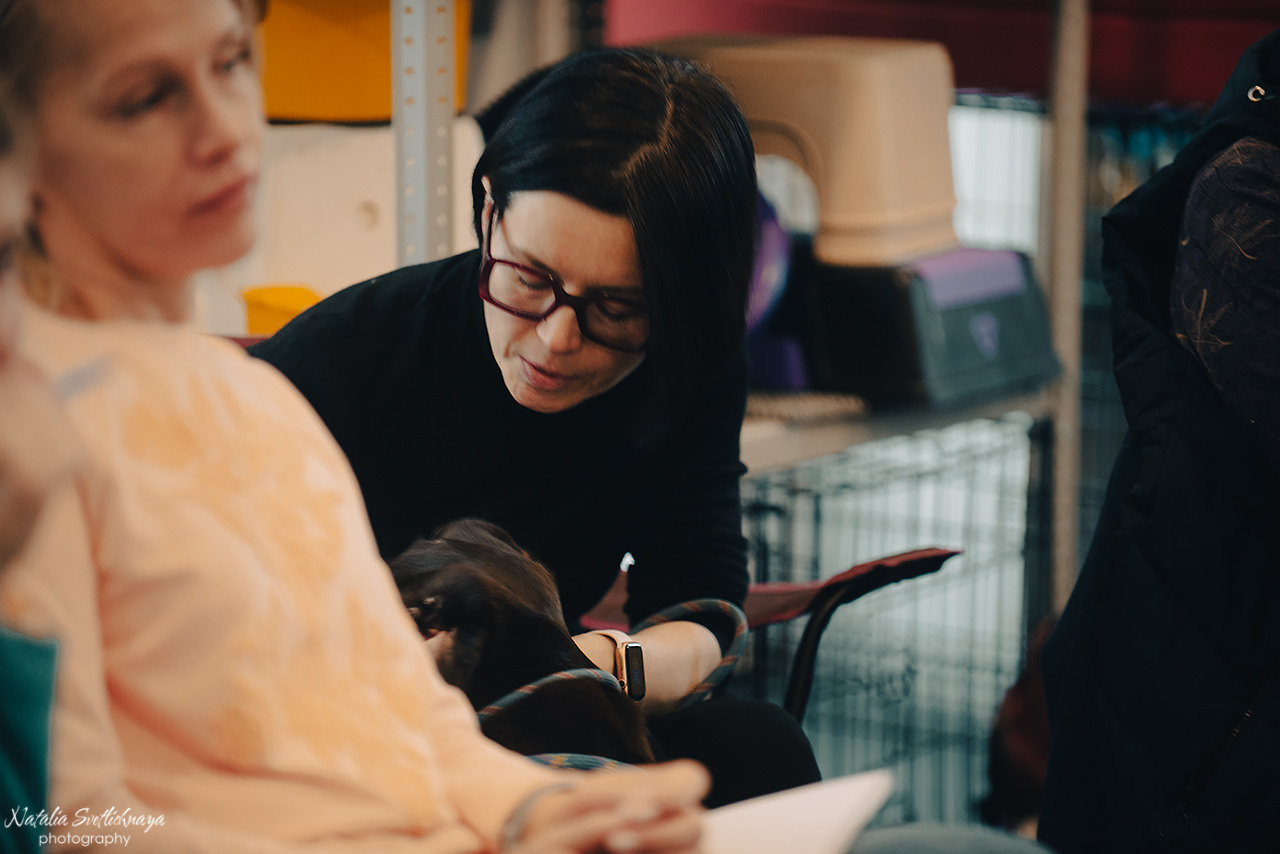 Семинар с Марией Рыбкиной «Игры с собаками» (24.02.2023). Фотограф-анималист Наталья Светличная