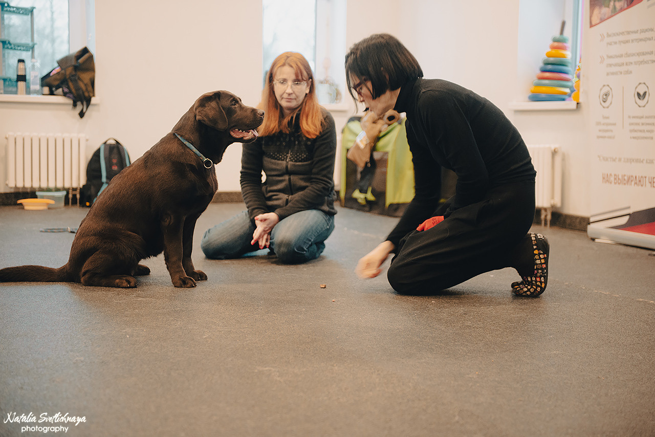 Семинар с Марией Рыбкиной «Игры с собаками» (24.02.2023). Фотограф-анималист Наталья Светличная