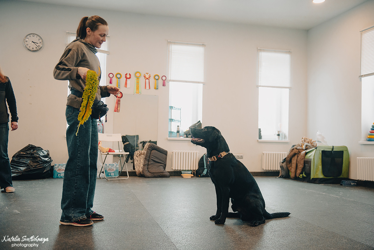 Семинар с Марией Рыбкиной «Игры с собаками» (24.02.2023). Фотограф-анималист Наталья Светличная