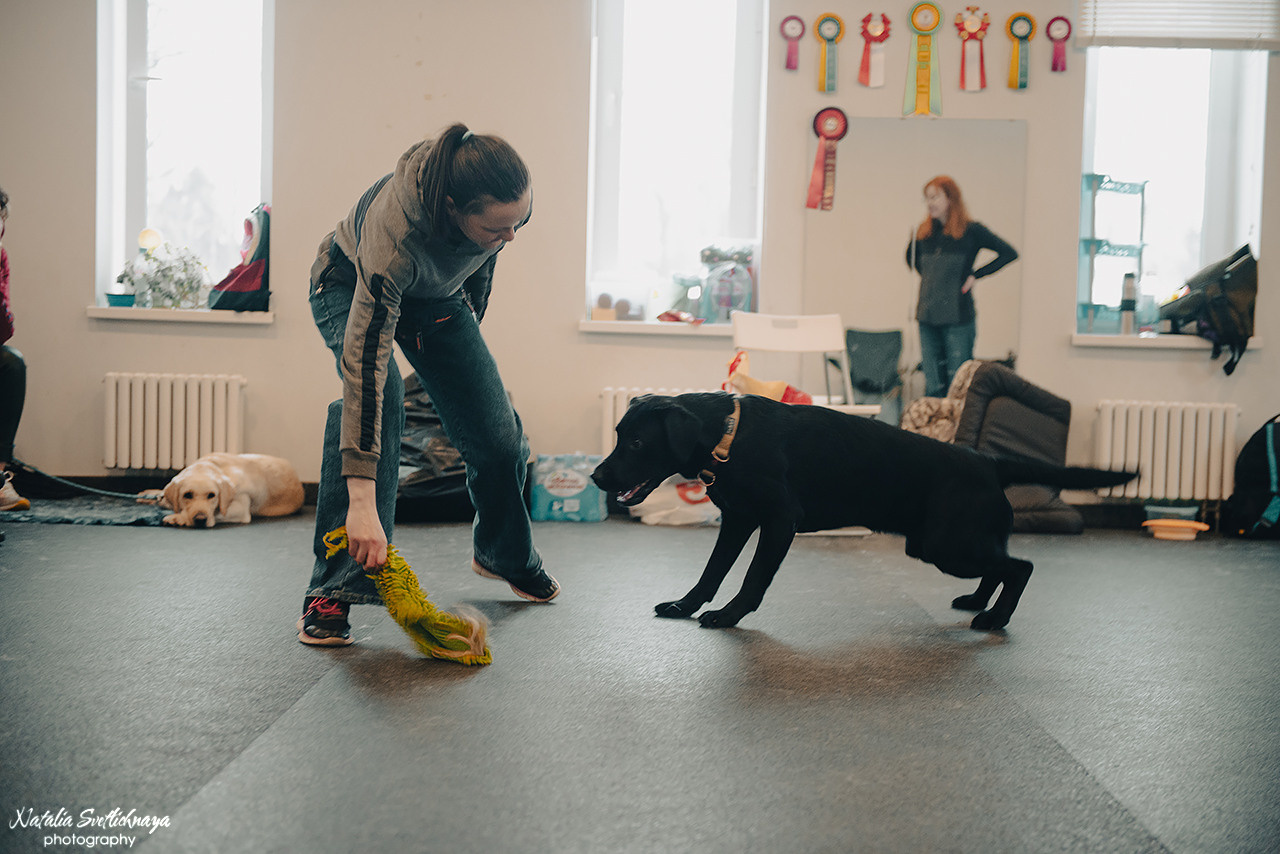 Семинар с Марией Рыбкиной «Игры с собаками» (24.02.2023). Фотограф-анималист Наталья Светличная