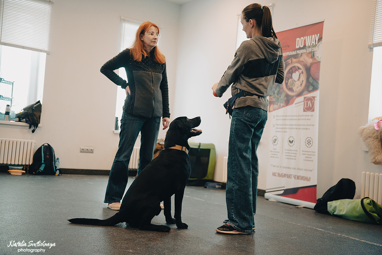 Семинар с Марией Рыбкиной «Игры с собаками» (24.02.2023). Фотограф-анималист Наталья Светличная