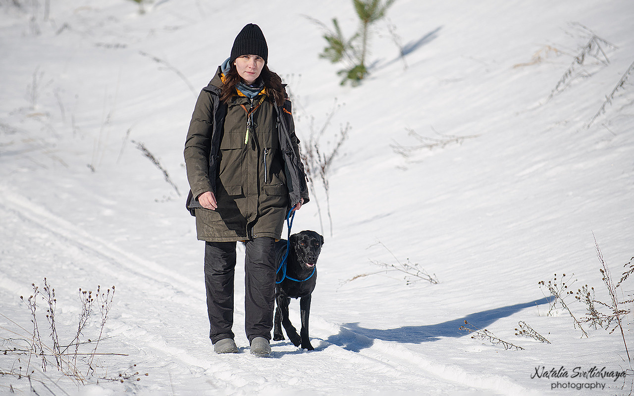 Тренировочный воркинг тест Школы Шмеля 18 марта 2023. Фотограф-анималист Наталья Светличная