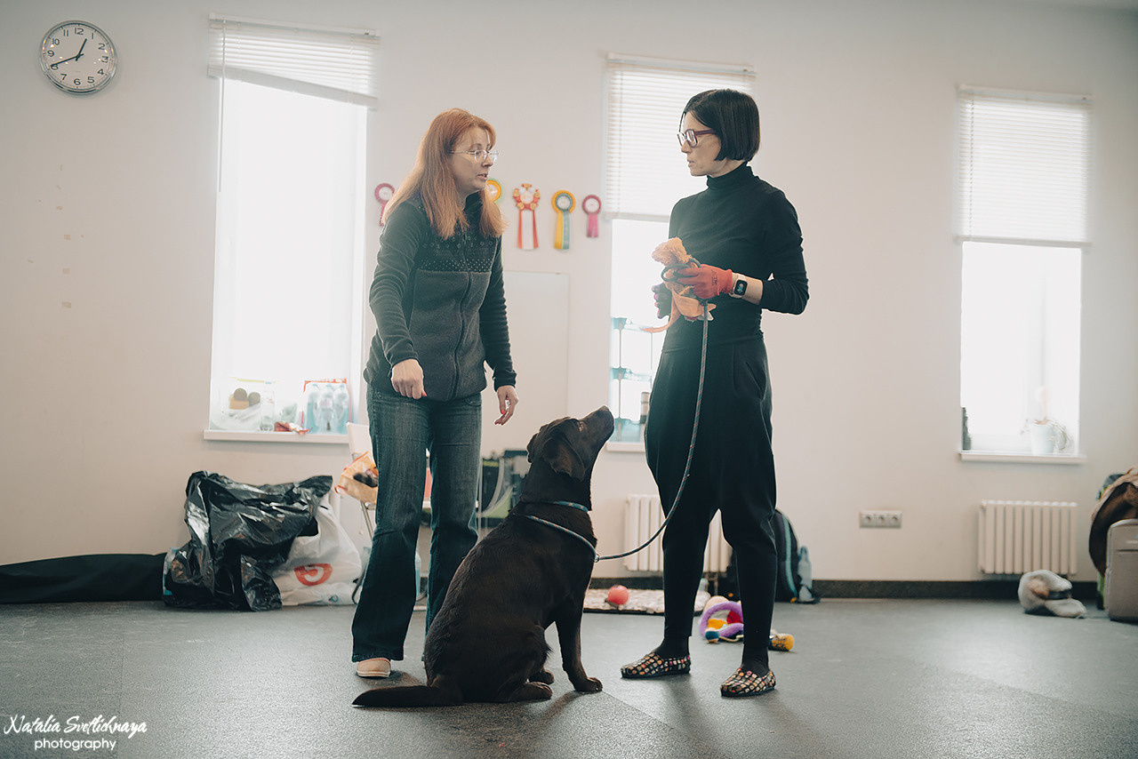Семинар с Марией Рыбкиной «Игры с собаками» (24.02.2023). Фотограф-анималист Наталья Светличная