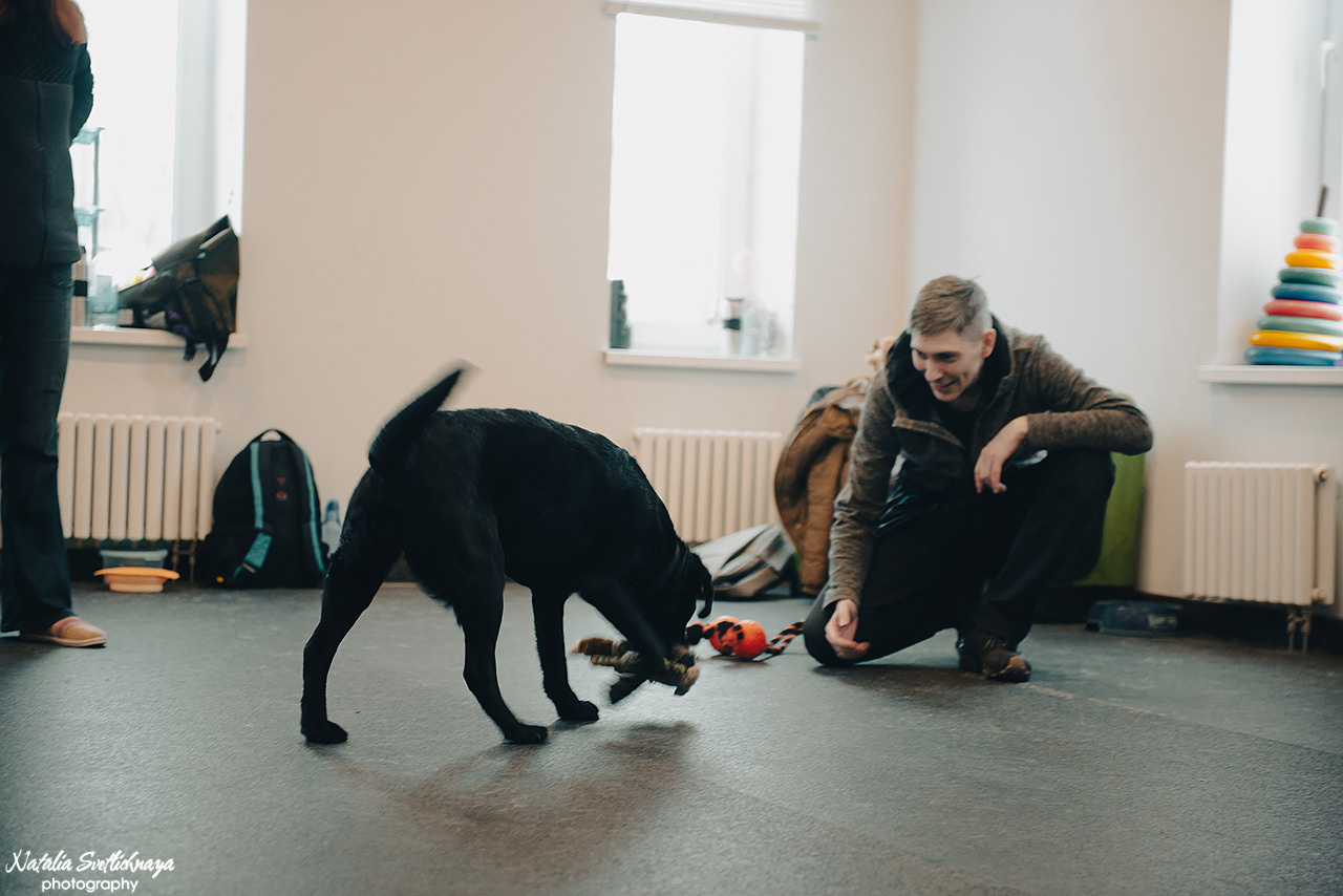Семинар с Марией Рыбкиной «Игры с собаками» (24.02.2023). Фотограф-анималист Наталья Светличная