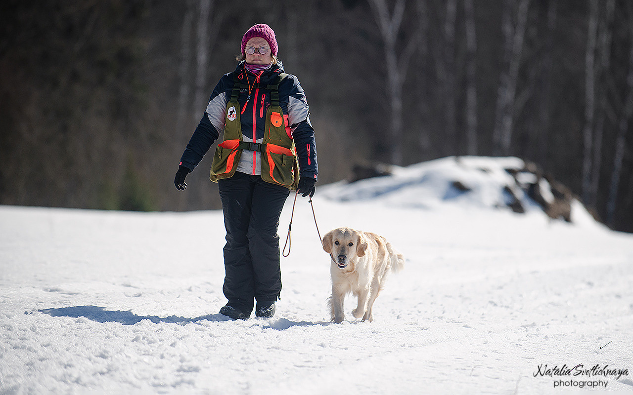 Тренировочный воркинг тест Школы Шмеля 18 марта 2023. Фотограф-анималист Наталья Светличная