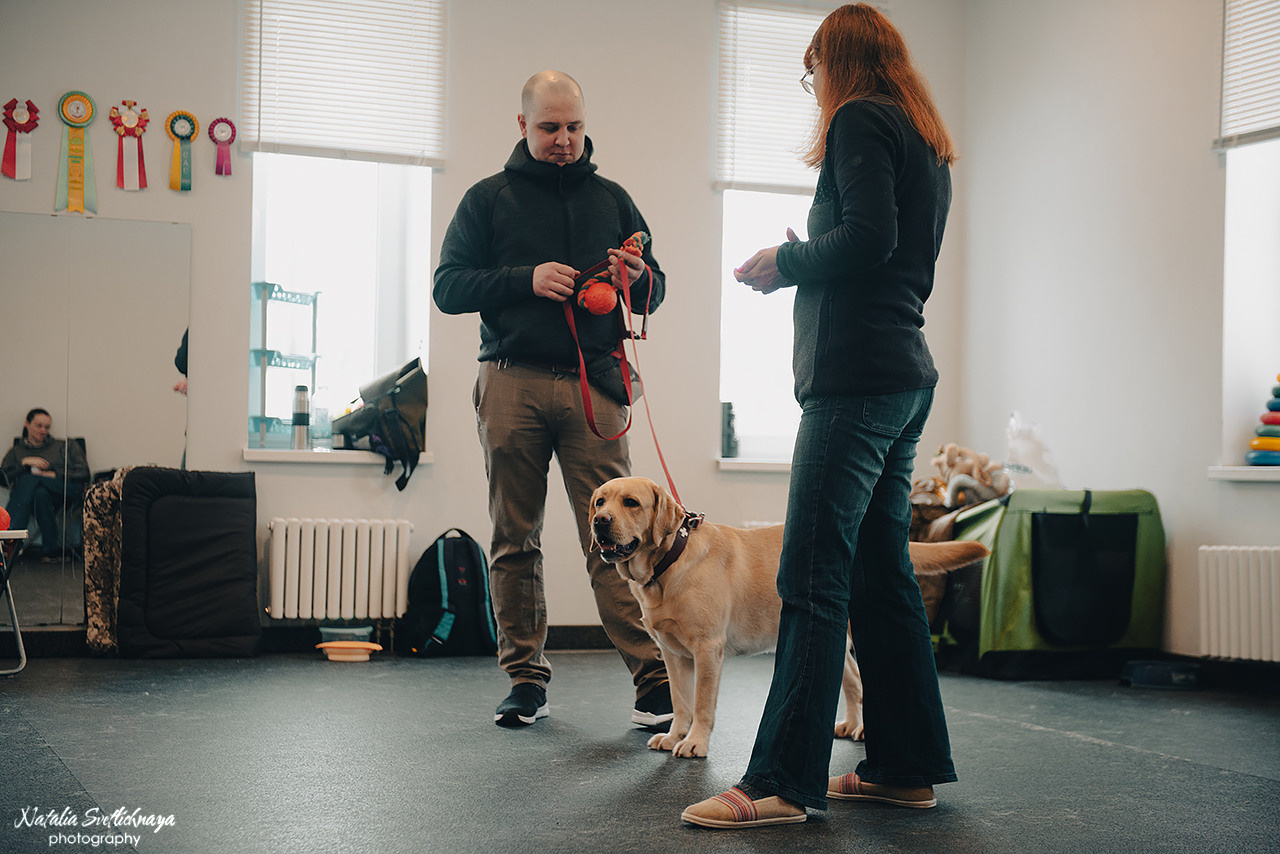 Семинар с Марией Рыбкиной «Игры с собаками» (24.02.2023). Фотограф-анималист Наталья Светличная