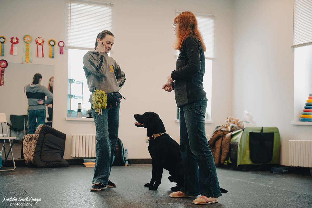 Семинар с Марией Рыбкиной «Игры с собаками» (24.02.2023). Фотограф-анималист Наталья Светличная