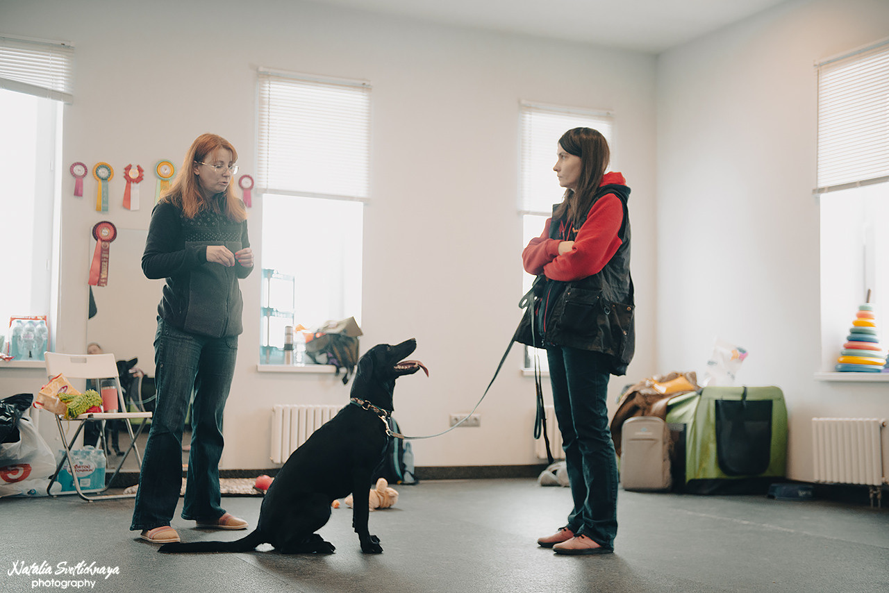 Семинар с Марией Рыбкиной «Игры с собаками» (24.02.2023). Фотограф-анималист Наталья Светличная