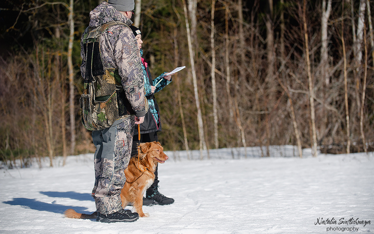 Тренировочный воркинг тест Школы Шмеля 18 марта 2023. Фотограф-анималист Наталья Светличная