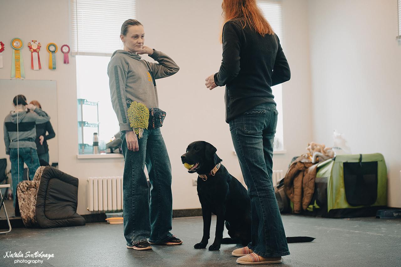 Семинар с Марией Рыбкиной «Игры с собаками» (24.02.2023). Фотограф-анималист Наталья Светличная