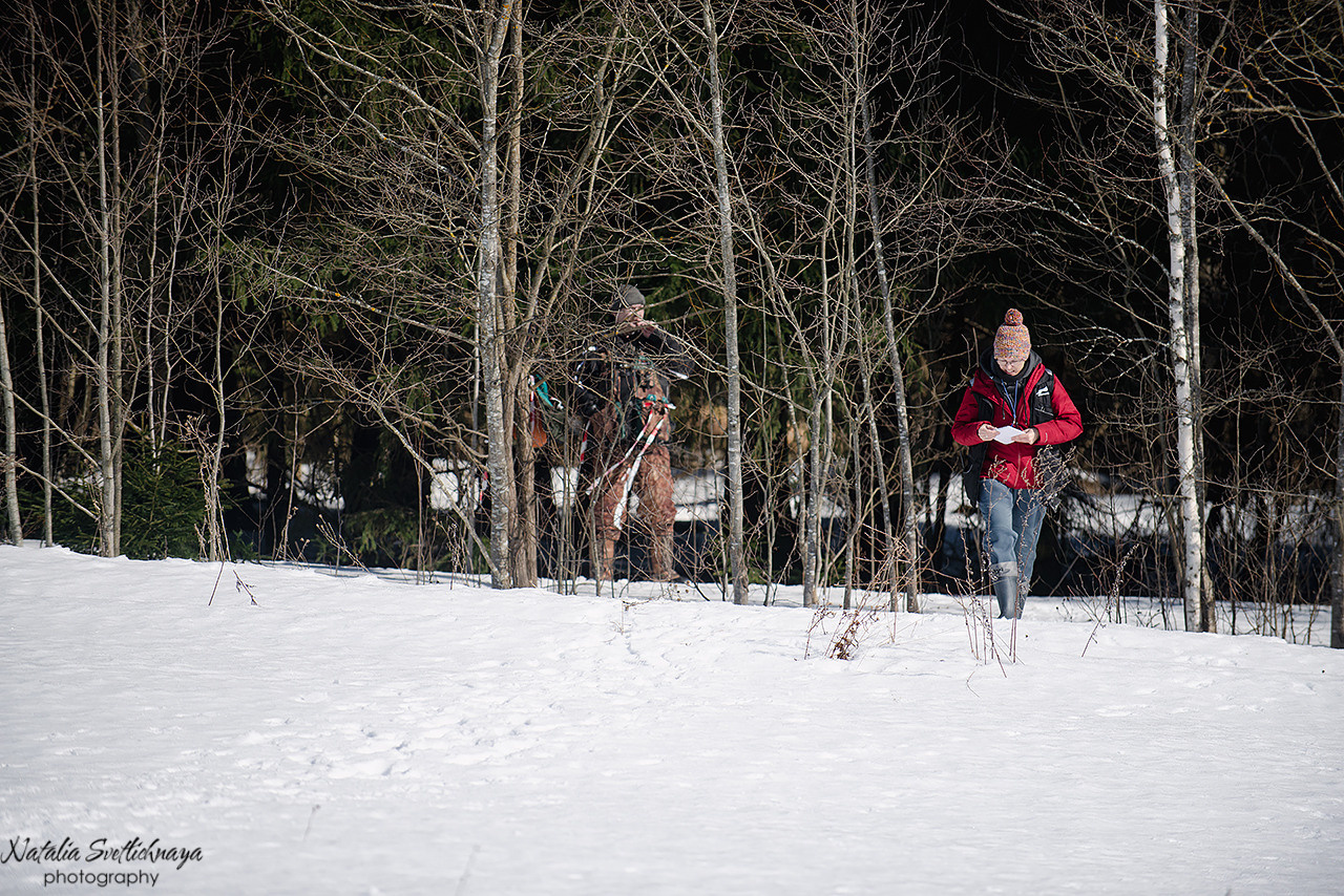 Тренировочный воркинг тест Школы Шмеля 18 марта 2023. Фотограф-анималист Наталья Светличная