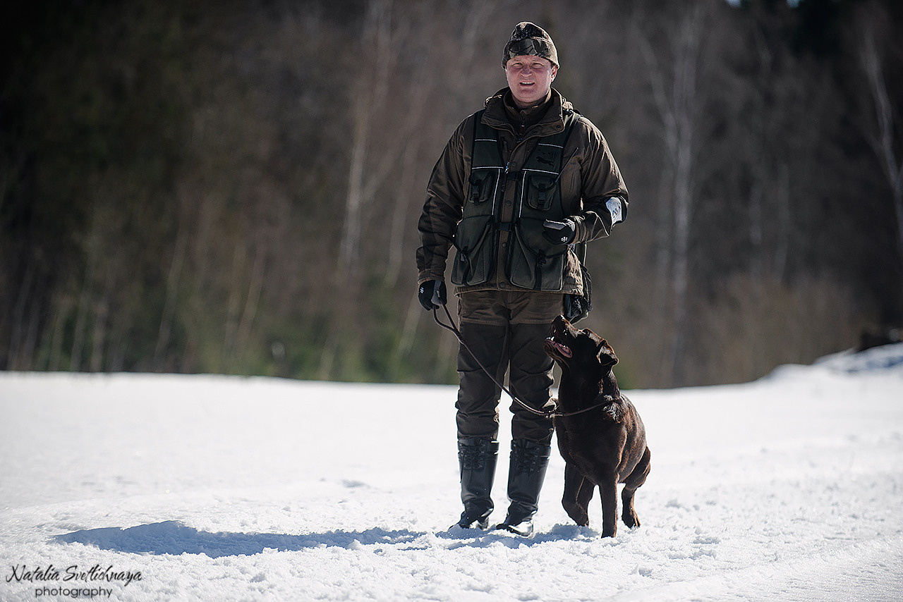 Тренировочный воркинг тест Школы Шмеля 18 марта 2023. Фотограф-анималист Наталья Светличная