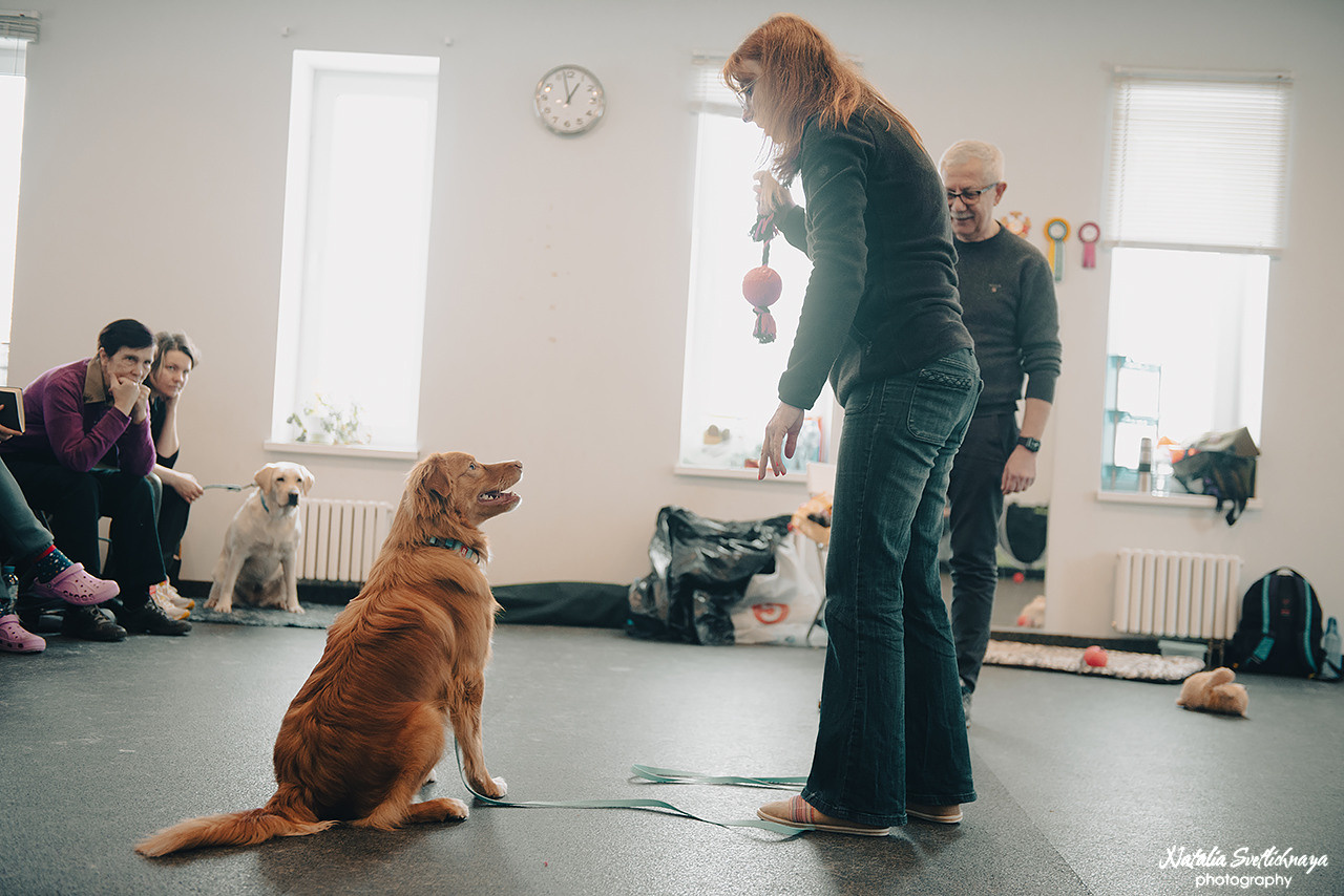 Семинар с Марией Рыбкиной «Игры с собаками» (24.02.2023). Фотограф-анималист Наталья Светличная