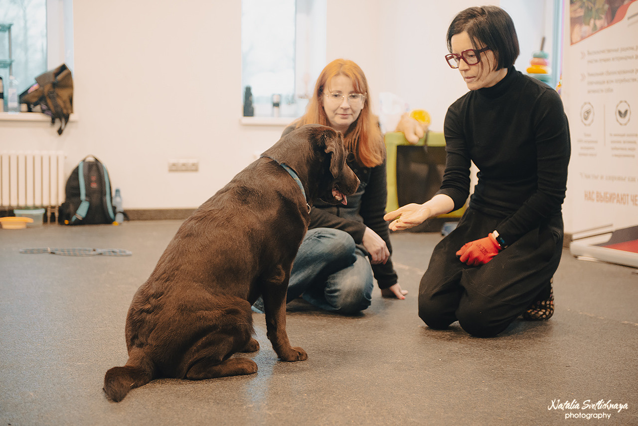 Семинар с Марией Рыбкиной «Игры с собаками» (24.02.2023). Фотограф-анималист Наталья Светличная