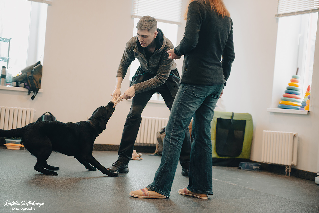 Семинар с Марией Рыбкиной «Игры с собаками» (24.02.2023). Фотограф-анималист Наталья Светличная