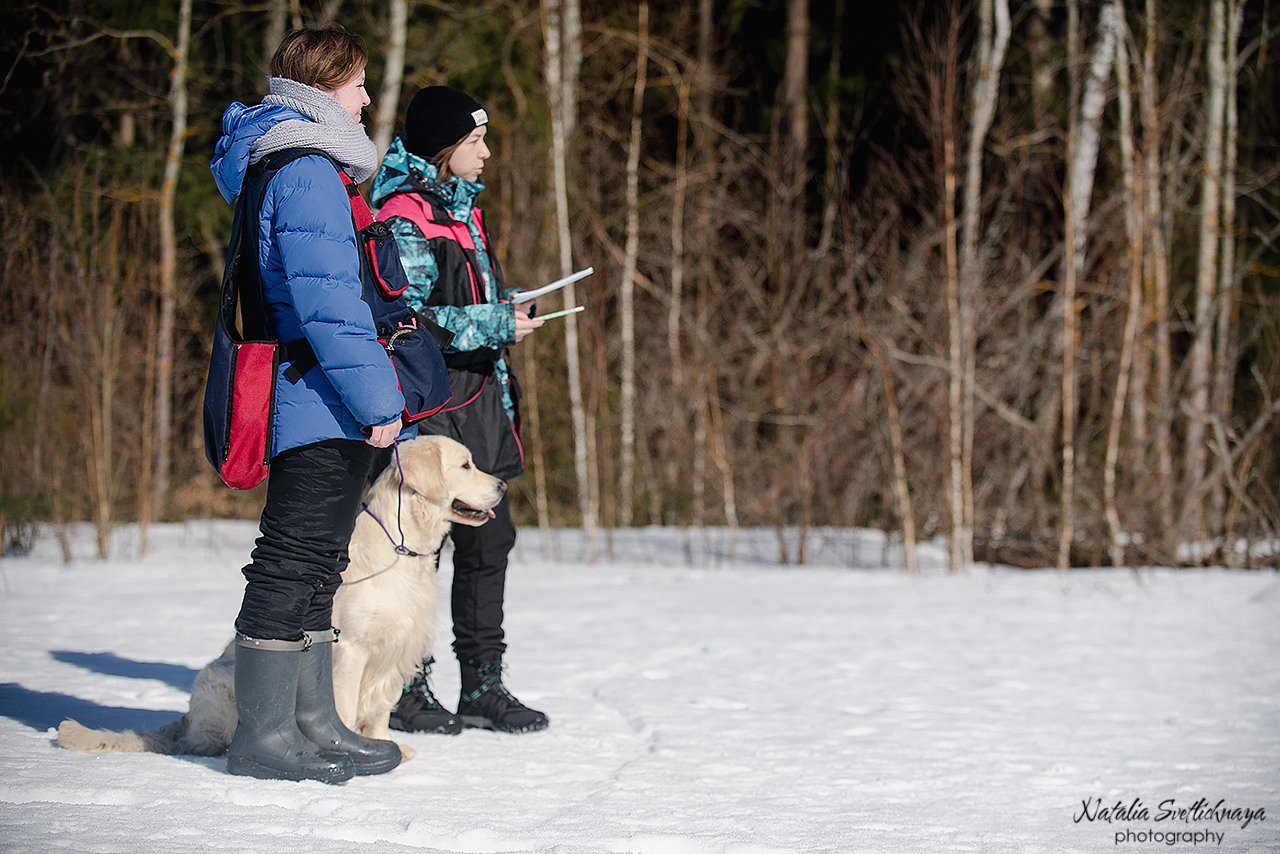 Тренировочный воркинг тест Школы Шмеля 18 марта 2023. Фотограф-анималист Наталья Светличная