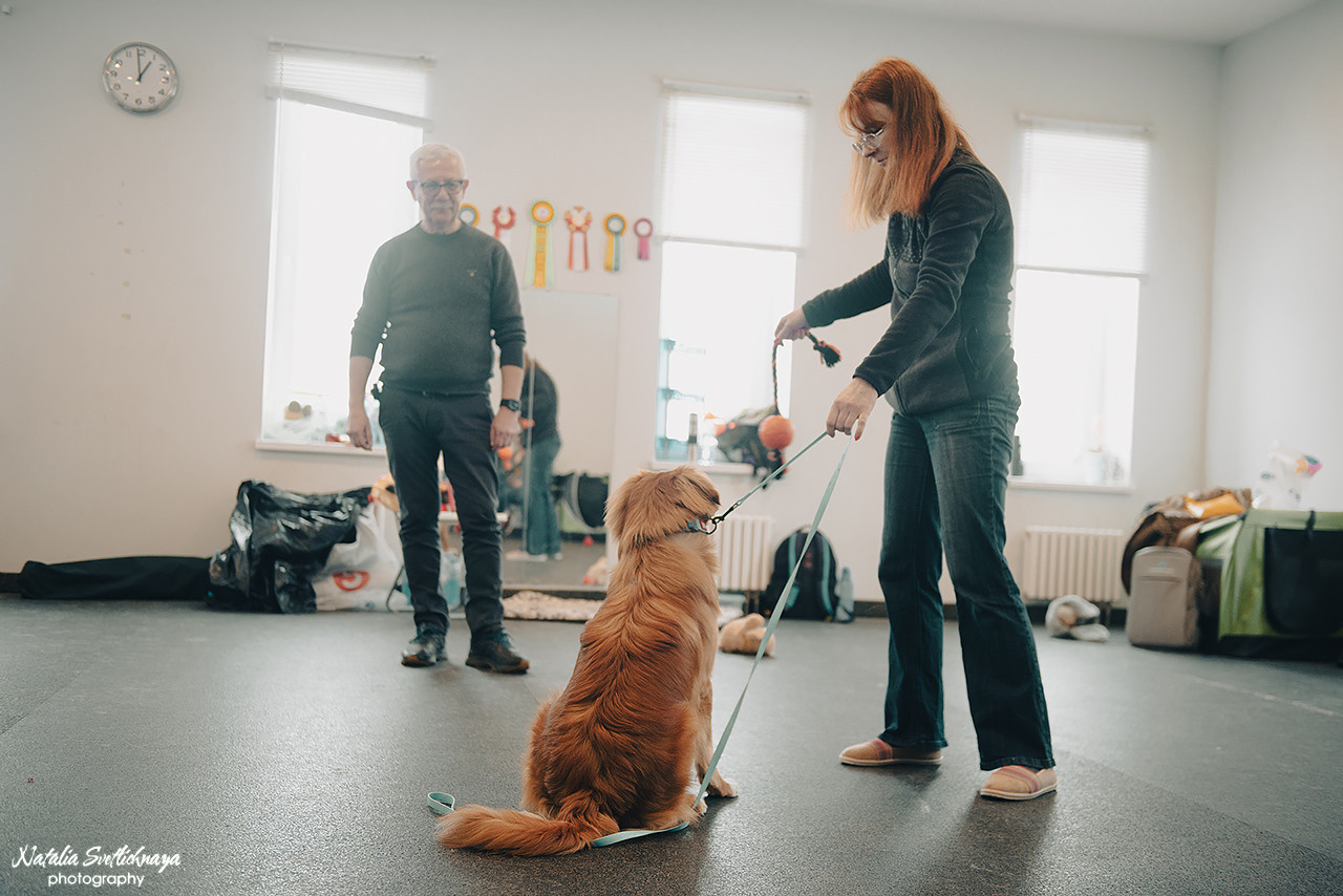 Семинар с Марией Рыбкиной «Игры с собаками» (24.02.2023). Фотограф-анималист Наталья Светличная
