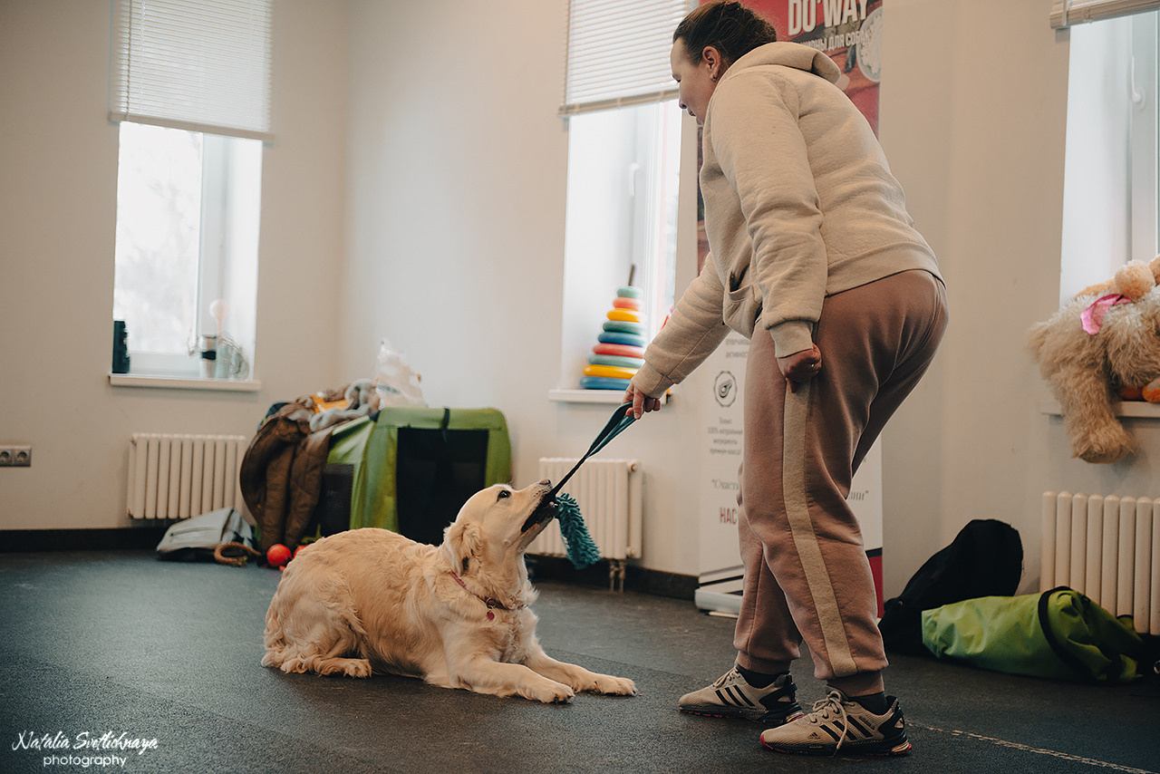 Семинар с Марией Рыбкиной «Игры с собаками» (24.02.2023). Фотограф-анималист Наталья Светличная