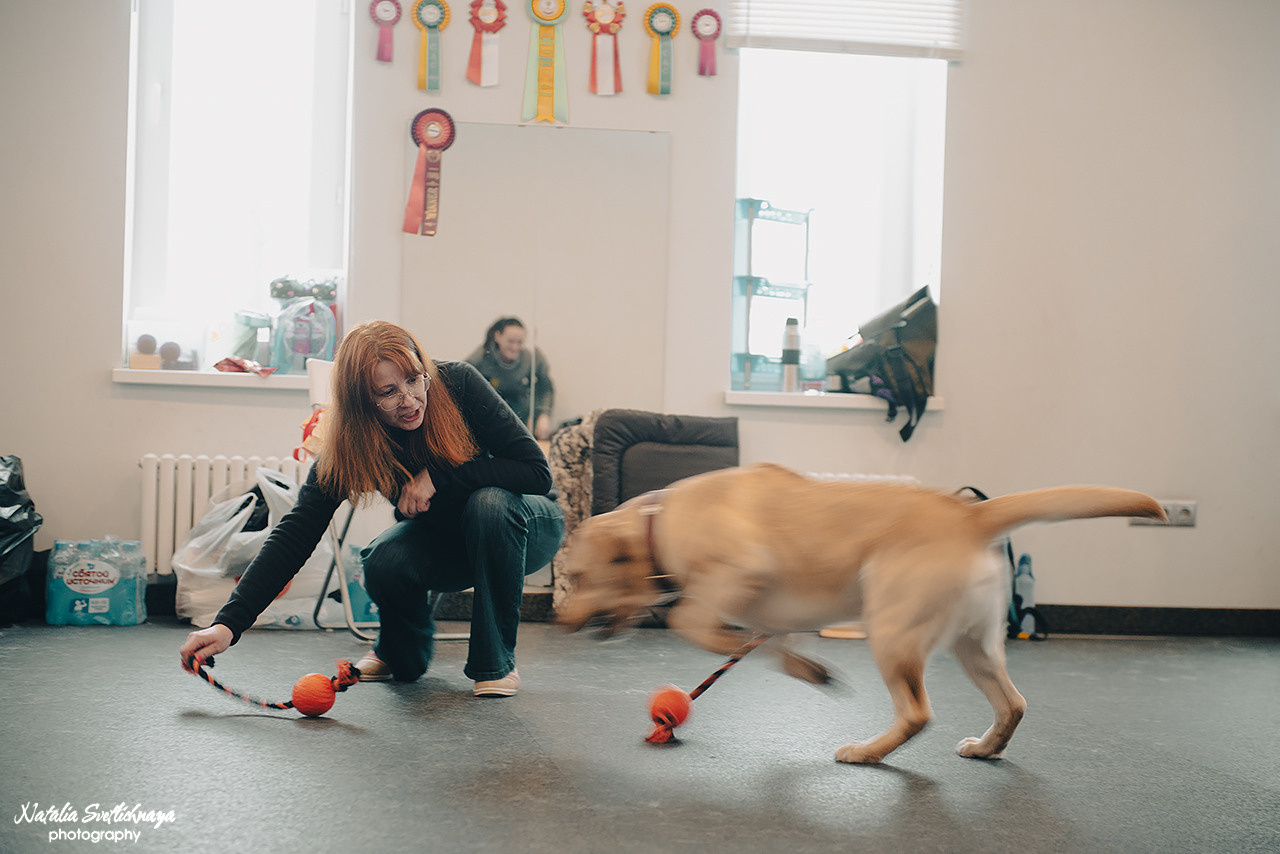 Семинар с Марией Рыбкиной «Игры с собаками» (24.02.2023). Фотограф-анималист Наталья Светличная