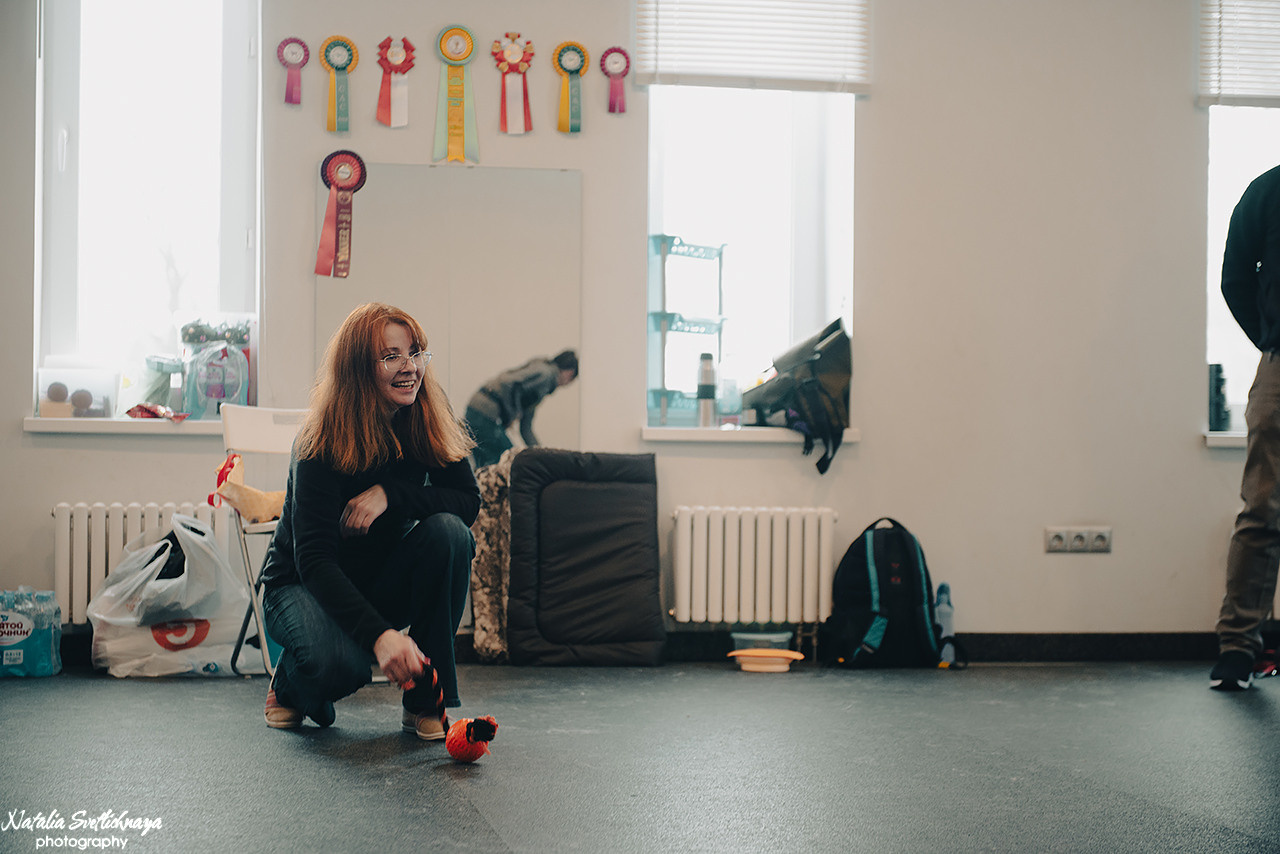 Семинар с Марией Рыбкиной «Игры с собаками» (24.02.2023). Фотограф-анималист Наталья Светличная