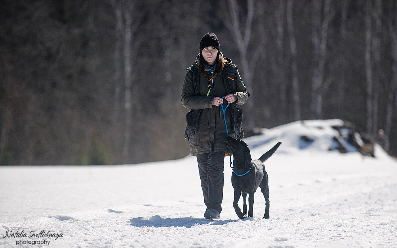 Тренировочный воркинг тест Школы Шмеля 18 марта 2023. Фотограф-анималист Наталья Светличная