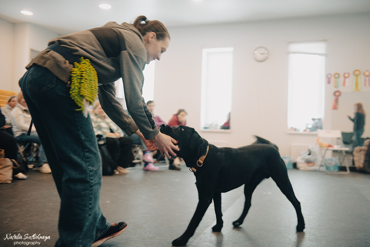 Семинар с Марией Рыбкиной «Игры с собаками» (24.02.2023). Фотограф-анималист Наталья Светличная