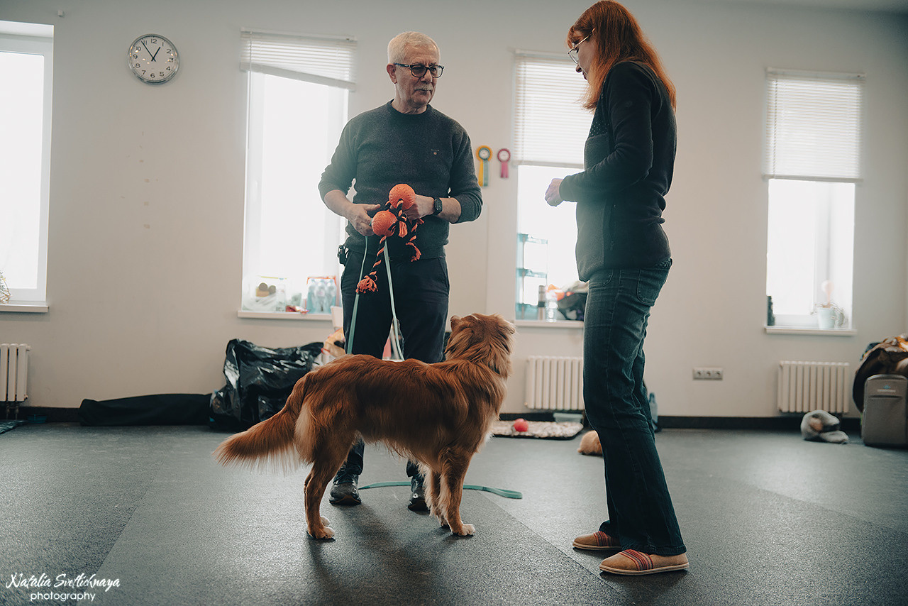 Семинар с Марией Рыбкиной «Игры с собаками» (24.02.2023). Фотограф-анималист Наталья Светличная