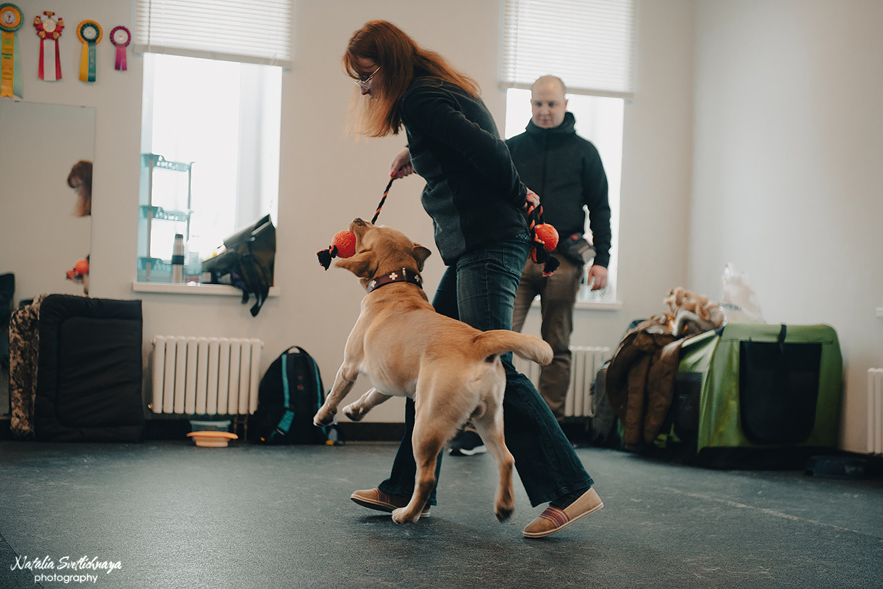 Семинар с Марией Рыбкиной «Игры с собаками» (24.02.2023). Фотограф-анималист Наталья Светличная