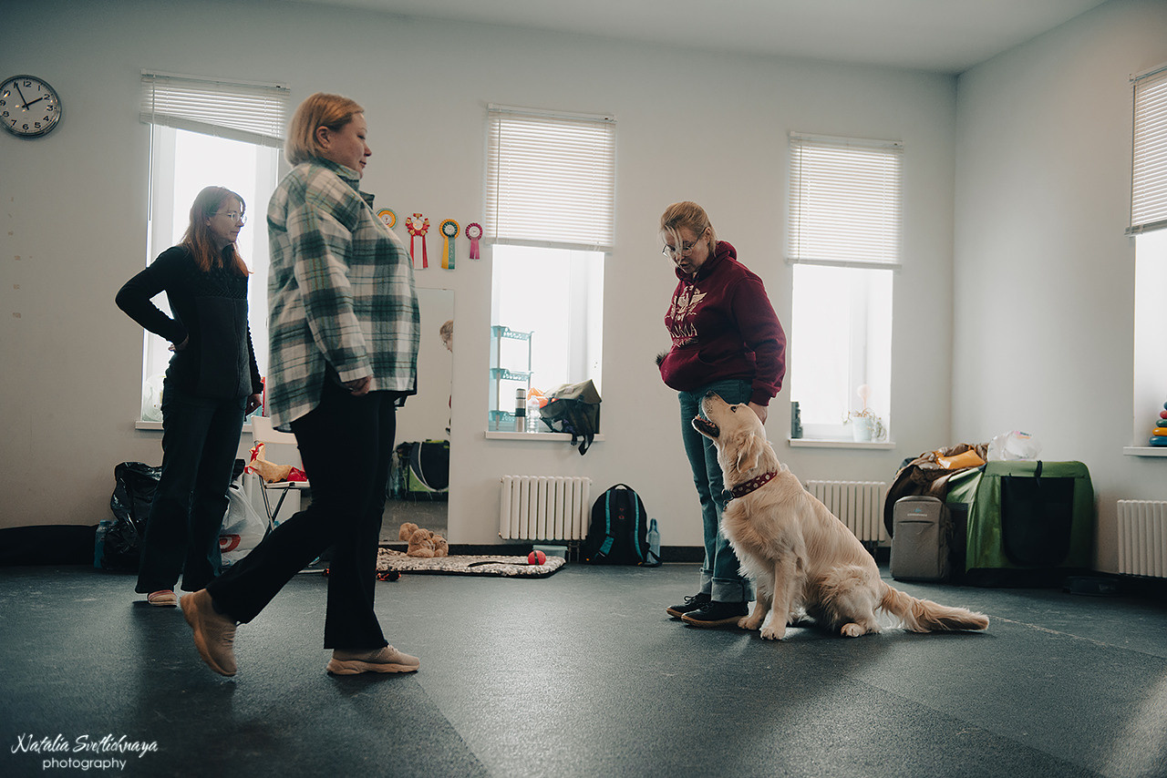 Семинар с Марией Рыбкиной «Игры с собаками» (24.02.2023). Фотограф-анималист Наталья Светличная