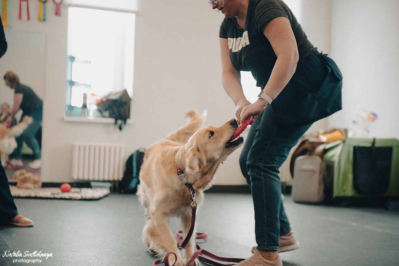 Семинар с Марией Рыбкиной «Игры с собаками» (24.02.2023). Фотограф-анималист Наталья Светличная