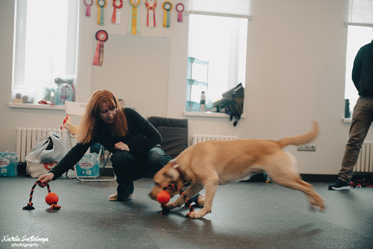 Семинар с Марией Рыбкиной «Игры с собаками» (24.02.2023). Фотограф-анималист Наталья Светличная