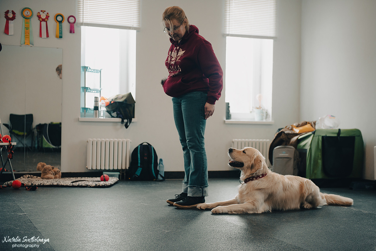 Семинар с Марией Рыбкиной «Игры с собаками» (24.02.2023). Фотограф-анималист Наталья Светличная