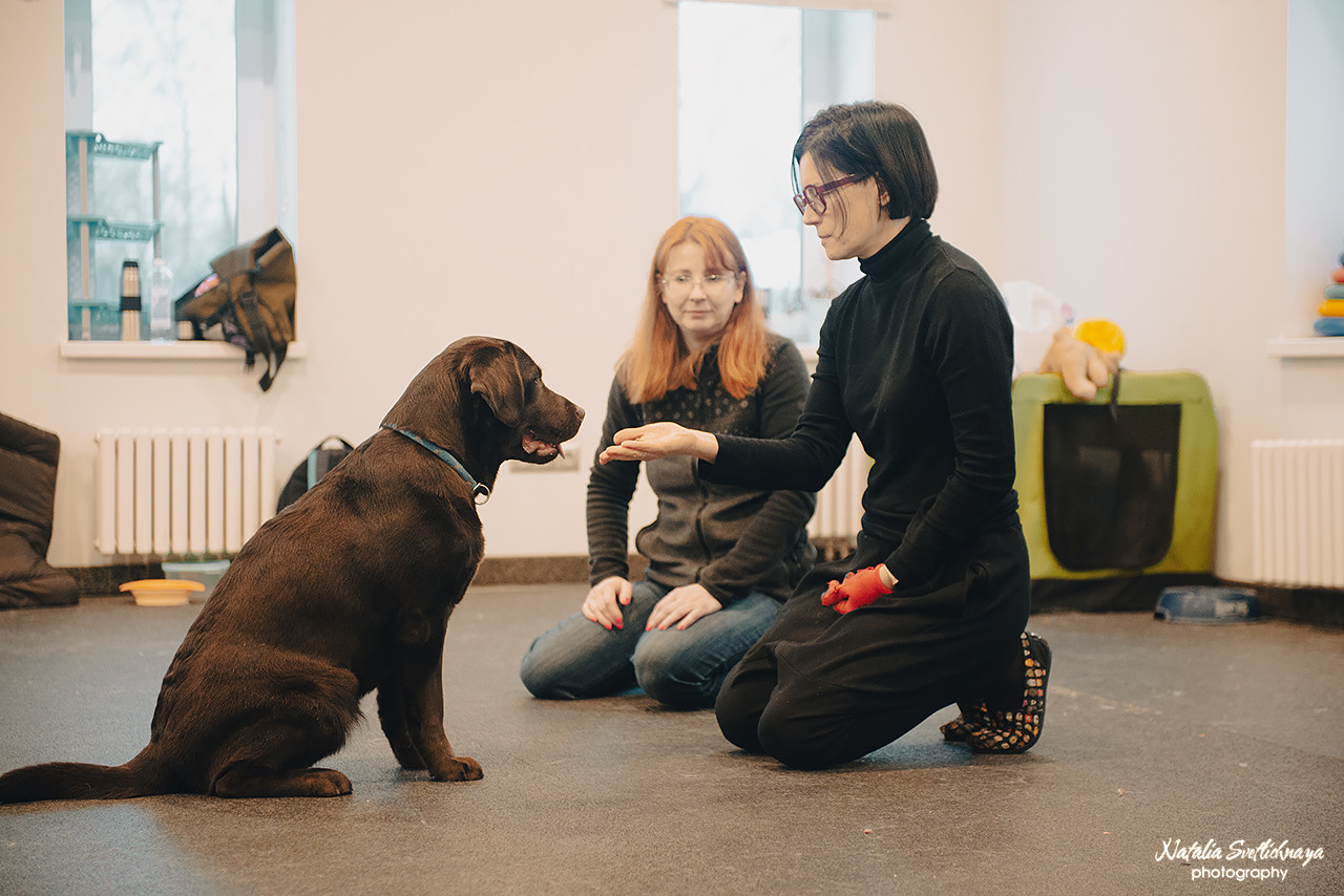 Семинар с Марией Рыбкиной «Игры с собаками» (24.02.2023). Фотограф-анималист Наталья Светличная