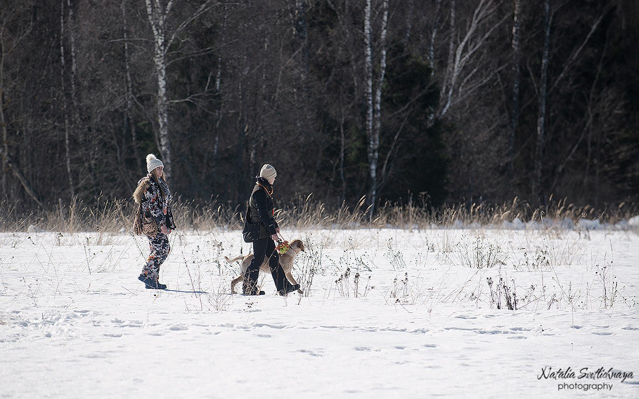 Тренировочный воркинг тест Школы Шмеля 18 марта 2023. Фотограф-анималист Наталья Светличная