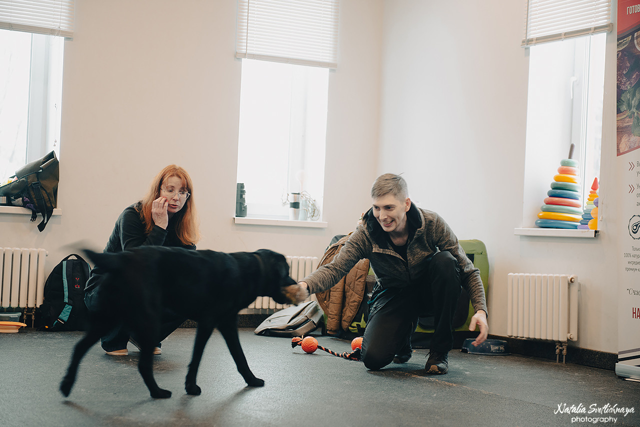 Семинар с Марией Рыбкиной «Игры с собаками» (24.02.2023). Фотограф-анималист Наталья Светличная