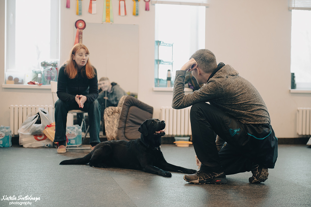 Семинар с Марией Рыбкиной «Игры с собаками» (24.02.2023). Фотограф-анималист Наталья Светличная