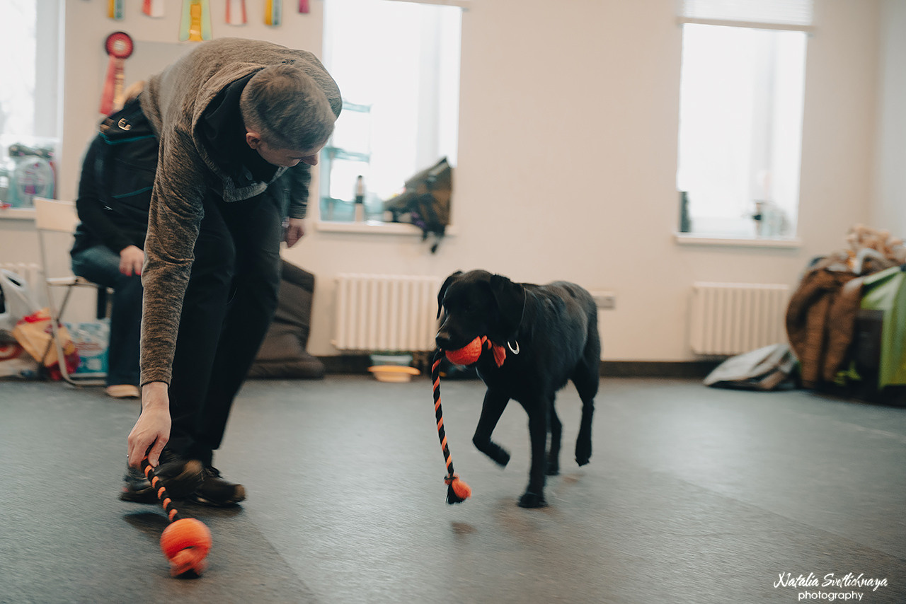 Семинар с Марией Рыбкиной «Игры с собаками» (24.02.2023). Фотограф-анималист Наталья Светличная