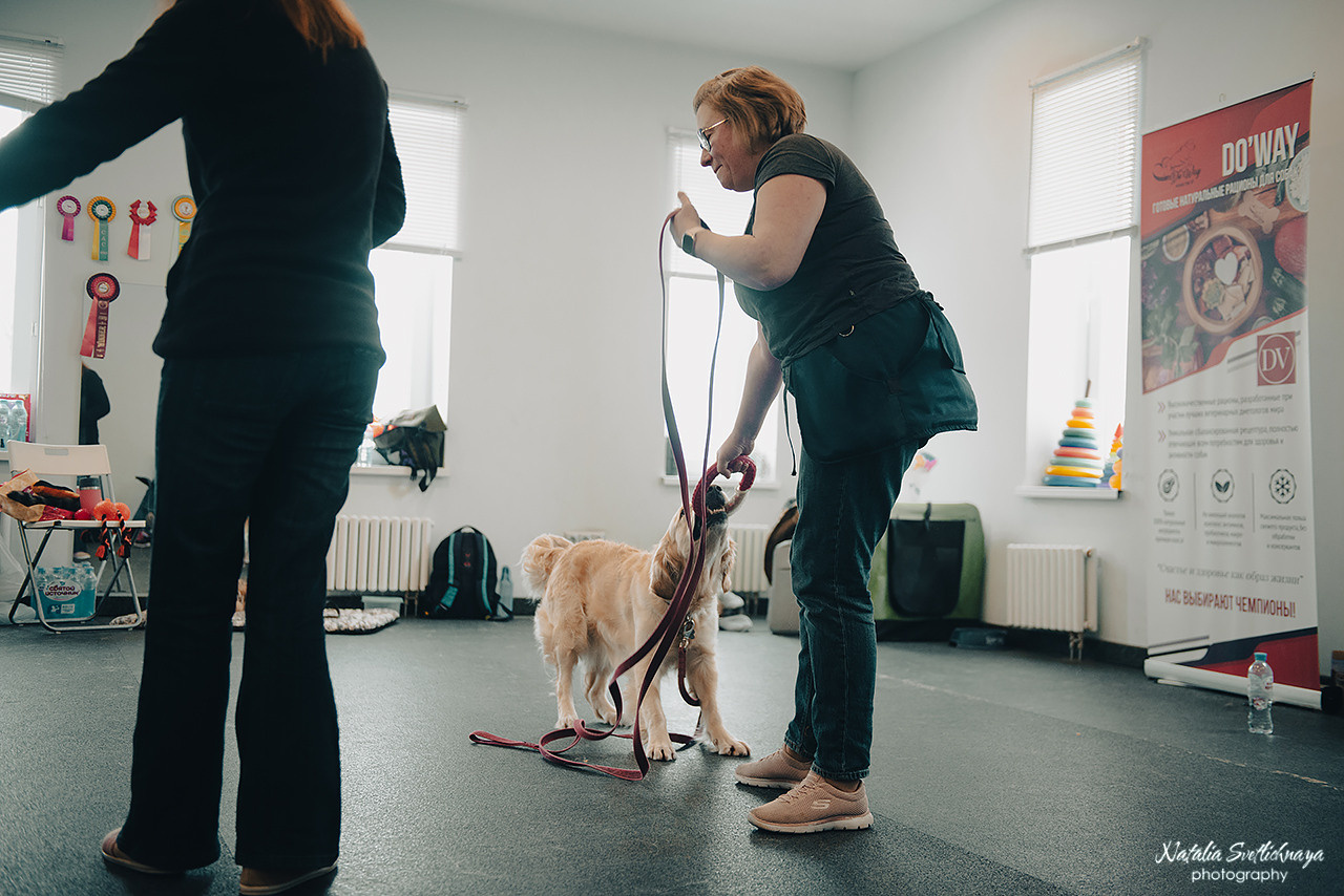 Семинар с Марией Рыбкиной «Игры с собаками» (24.02.2023). Фотограф-анималист Наталья Светличная