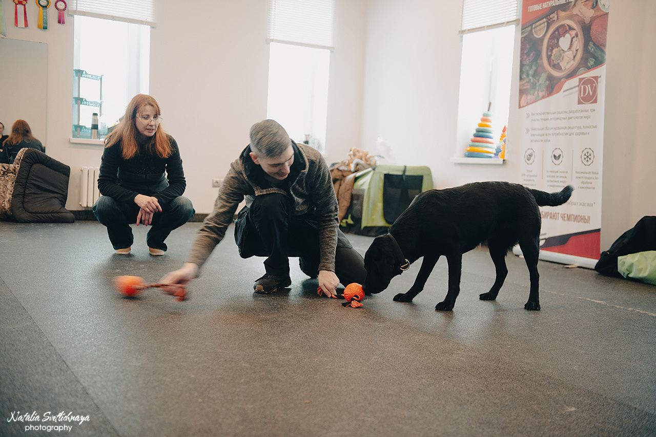 Семинар с Марией Рыбкиной «Игры с собаками» (24.02.2023). Фотограф-анималист Наталья Светличная