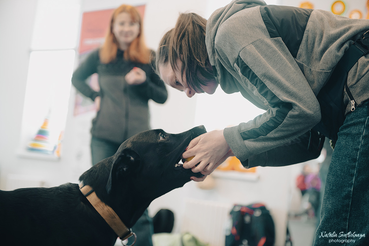 Семинар с Марией Рыбкиной «Игры с собаками» (24.02.2023). Фотограф-анималист Наталья Светличная